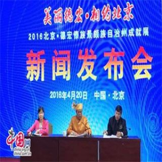 美丽德宏300